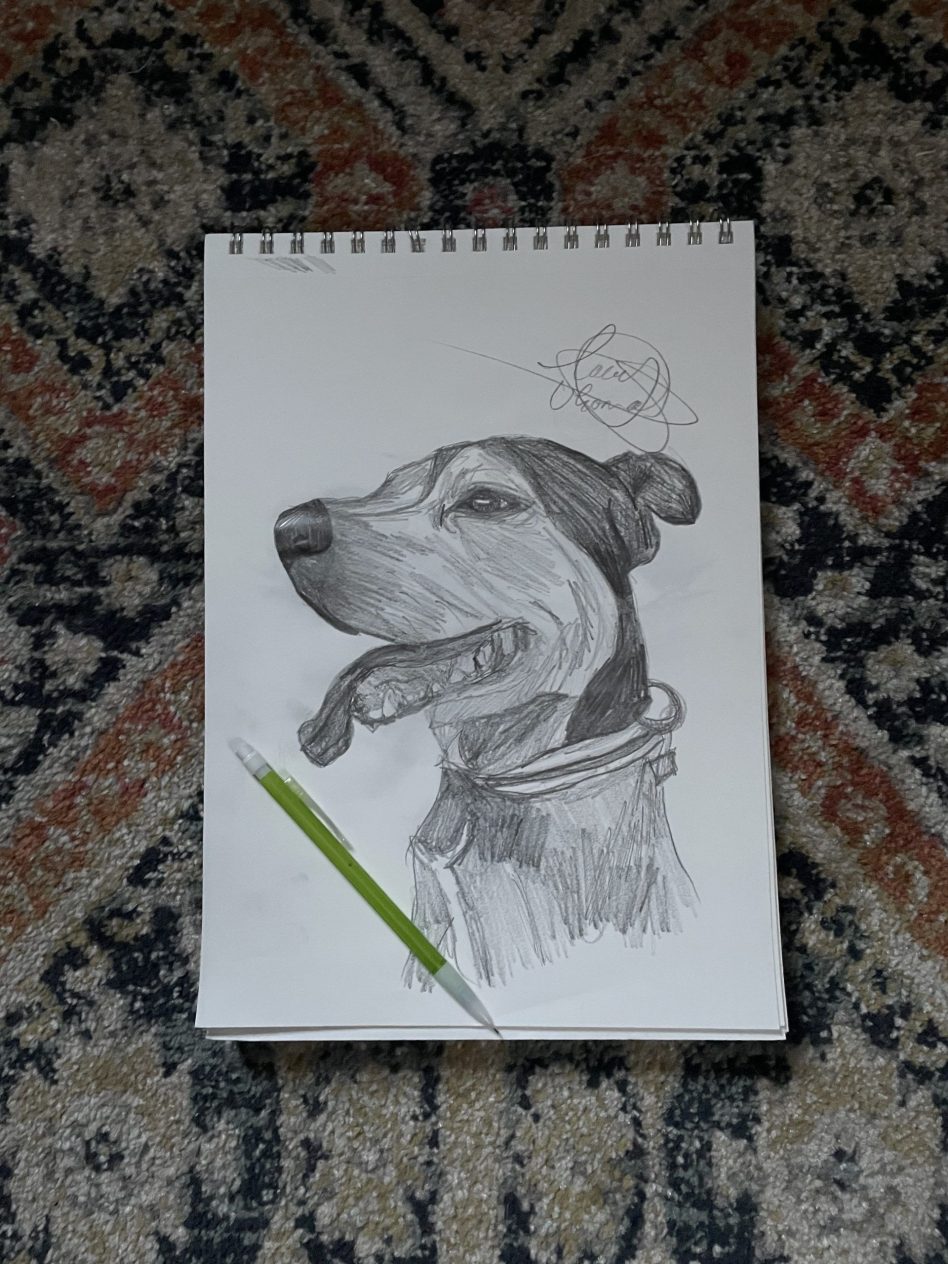 33.-Pencil-sketch-of-dog-art