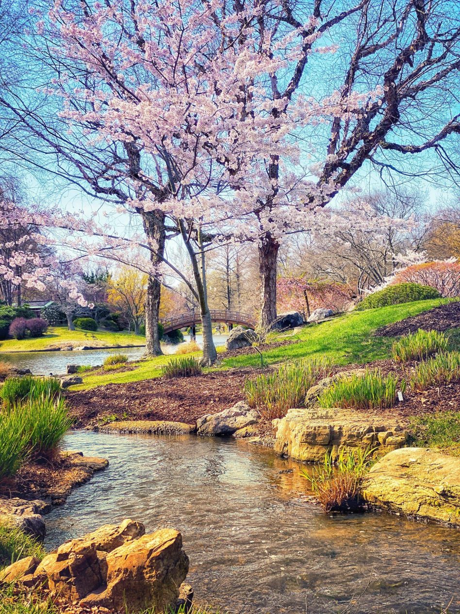 62-Mo.-Botanical-Garden-Erica-Johanning